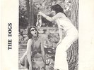 THE DOGS - IOWA PUNK 45 - 