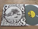 PAPERHEAD  FOCUS IN ON THE LOOKING GLASS LP Psych COL. VINYL White Fence SUPERB