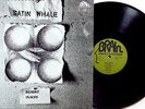 Satin Whale, Desert Places, Krautrock LP 1974 - BRAIN 1049