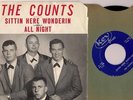 Garage THE COUNTS Sittin Here Wonderin KEY Michigan W/Pic SLEEVE LISTEN