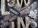 THE LOW FREQUENCY IN STEREO - POP OBSKURA  (VINYL LP + CD)  9 TRACKS  NEW
