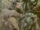 PROG-LP-JOHN MAYALL-BLUES FROM LAUREL CANYON-DECCA-UK-1968-TOPMINT 
