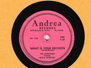 DOO-WOP : THE HARPTONES ON ANDREA 78 100 IN E- CONDITION
