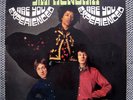 JIMI HENDRIX| ARE you EXPERIENCED | LP Polydor  1967 | 184 085 | DE | G / G