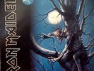 IRON MAIDEN FEAR OF THE DARK DOUBLE RECORD