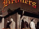 Broilers Fackeln im Sturm LP Vinyl