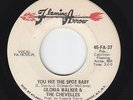 Funk 45 - Gloria Walker & Chevelles - You Hit The Spot - Flaming Arrow - mp3