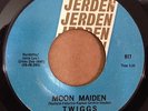 TWIGGS - Moon Maiden - heavy fuzz psych garage RARE 45 - *LISTEN /IRON BUTTERFLY