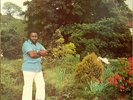 1978 REGGAE - MARTEL ROBINSON - COOL SHADY TREES - UK RAY LP Sound Clip