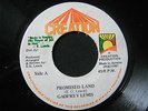 Gadfrey Lewis-Promised Land 7
