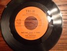 Grodes  45 RPM Cry a Little Longer / She's Got What it Takes (60's Garage Band)