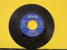 VHTF Ardis Wells Chuck Krenz Dakota Roundup Joyce 601 Indian Love Call / I Don’t