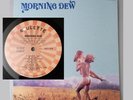 MORNING DEW   LP Vinyl Roulette SR-42049 Psych Garage Fuzz NM- BEAUTY Listen