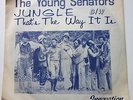 scarce funk 45 THE YOUNG SENATORS Jungle/That's the Way on INNOVATION w/ rare ps