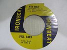 PHIL GARY Wet Bird 45 IRONBEAT mod garage VG OH plays great