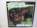 LA PERRERA-RIGHT SIDE OF OUR MIND-SPANISH PUNK ROCK-SPANISH 1991 VINYL LP.-EX/EX