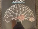 Soul Funk LP Ramp 'Come Into Knowledge' Blue Thumb OG Press Roy Ayers