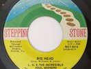 Rare Funk 45 LG & THE INCREDIBLE SOUL SEEKERS Big Head on Stepping Stone
