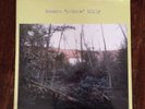 Bonnie 'Prince' Billy - Self-Titled (s/t) 2013 LP RARE Will Oldham Palace