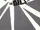 THE DILS - I HATE THE RICH / YOU'RE NOT BLANK - 1977 PUNK 45 w/PICTURE SLEEVE