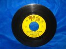 SUNLOVER'S - YOU'LL NEVER MAKE THE GRADE * MUTT & JEFF NORTHERN SOUL 45 RARE