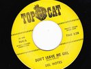 GARAGE 45 RPM - DEL NOTES on TOP CAT RECORDS