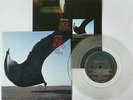 PINK FLOYD HIGH HOPES UK 1994 CLEAR VINYL POSTER SLEEVE 7 INCH