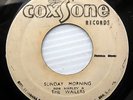 BOB MARLEY & the WAILERS Sunday Morning Simmer Down SKA ROCKSTEADY Coxsone 45 C6