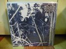 THOU SHALT SUFFER (pre-EMPEROR) into the woods.. LP immortal burzum opeth mayhem