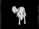 Sigur Ros 