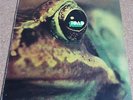 Toad - Same, 1971 Hard Rock/Prog classic  Italian Original