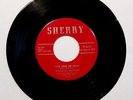 Garage 45--Fantastic Dee-Jays--This Love Of Ours / Apache--Sherry 197--Listen