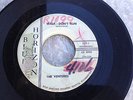  Ventures Walk Don't Run on Blue Horizon 101 Surf Holy Grail 45 LP Home