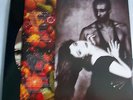 Kate Bush The Red Shoes
