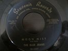 Tittyshaker Surf 45 THE BLUE JEANS moon mist IDAHO listen SOUVENIR