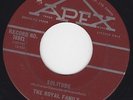 THE ROYAL FAMILY 1965 garage punk 45 7