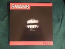 SWANS FILTH Vinyl LP / Michael Gira / Angels Of Light / Children Of God