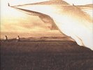 Neil Young - Prairie Wind 200G 2-LP GATEFOLD EDITION NEW / CLASSIC RECORDS