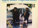 GYPSY BOOTS And The Nature Boys - Unpredictable Orig US LP - Psych Weird