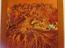 FEVER TREE For Sale - Original US LP - Garage Psych Music Machine Love