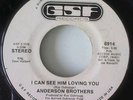 Northern Soul I can see him loving you Anderson Brothers