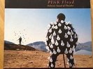 Pink Floyd Delicate Sound Of Thunder