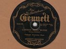 78 rpm Dunk Rendelman/Triangle Harmony Boys electrobeam Gennett 6322 in V/F