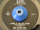RARE - The Living End US Texas 66 garage freakbeat 45 Turkey Stomp - MIRA