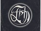 Fish very rare Portugal 7