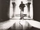 NEIL YOUNG-LP- LE NOISE- 2010- MINT