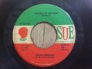 JACKIE BRENSTEN r&b soul 45 Trouble Up The Road/You Ain't The One   Sue