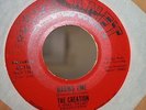 THE CREATION - MAKING TIME 7