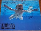 Nirvana -Nevermind- Germany SIGNED by Kurt Cobain/Grohl/Krist RARE Foo Fighters
