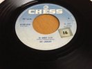 Joy Lovejoy - in orbit
